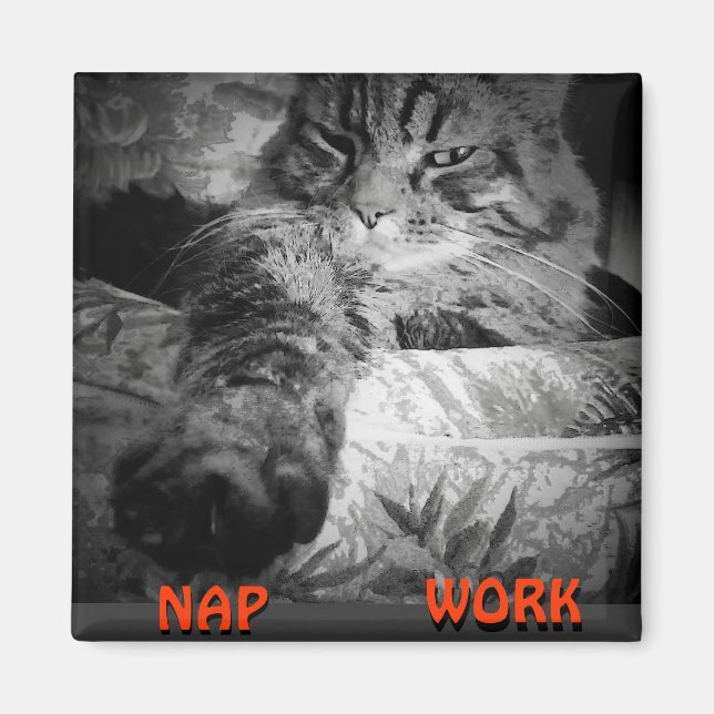 Nap eller Work? Kattunge säger "Nap"-nota Magnet (Framsidan)