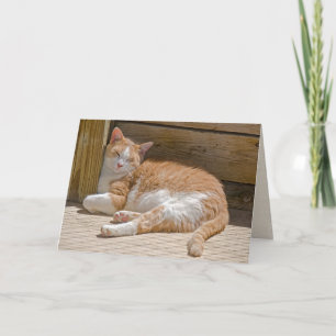 Nap-kort för mors dag Tabby katt Kort