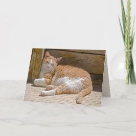 Nap-kort för namn-dagen Tabby katt Kort