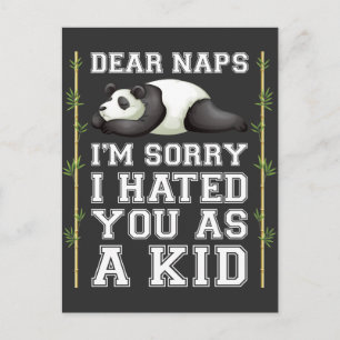 Nap Lazy Sleeping Napping Kid Cute Panda Animal Vykort