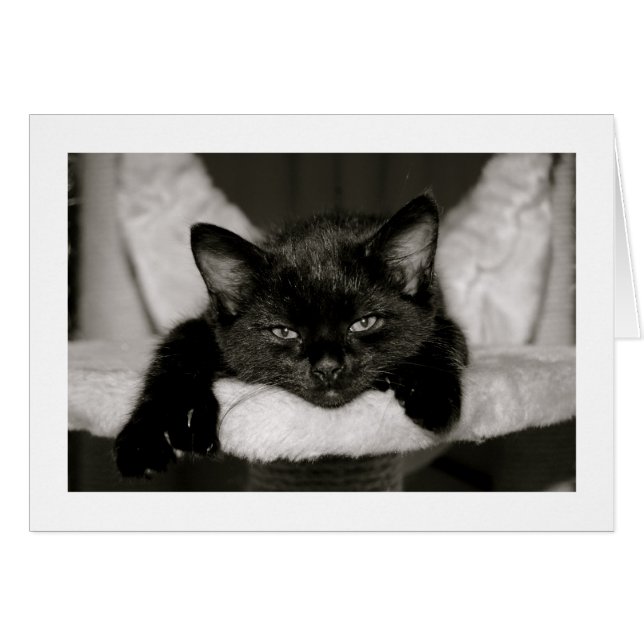 Nap med mig hälsningskort (Framsidan Horizontal)