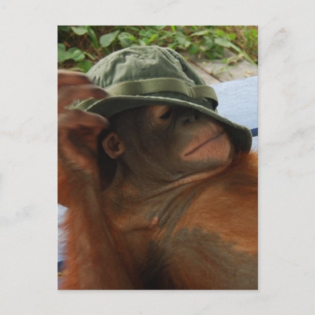 Nap-tid för Baby Vykort (Framsida)