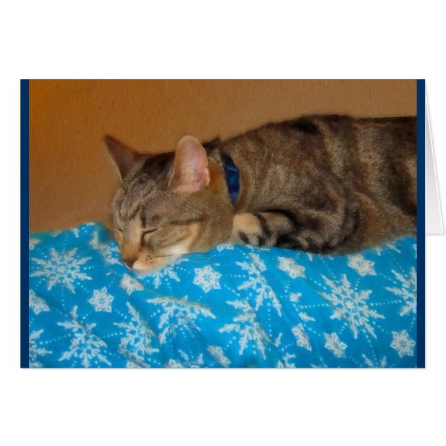 Nap-tid för indigo hälsningskort (Framsidan Horizontal)