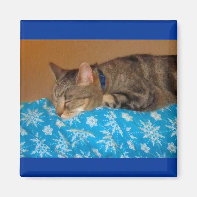 Nap-tid för indigo magnet (Framsidan)