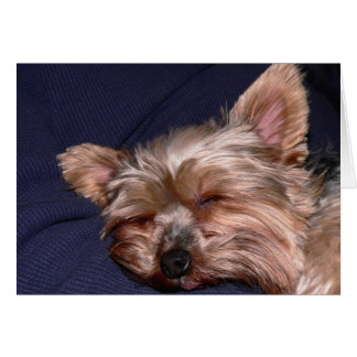 Nap-tid Hälsningskort