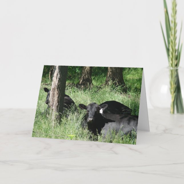 Nap-tid Kort (Framsida)