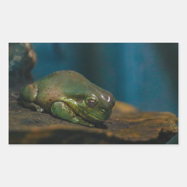 Nap-tid Rektangulärt Klistermärke (Framsida)