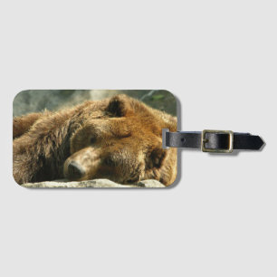 Nap Time Bear Bagagebricka