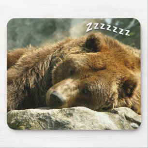 Nap Time Bear Musmatta