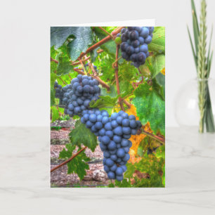Napa Graps Abstrakt Blank Note Card Kort