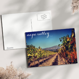 Napa Valley Autumn Harvest Vineyard vykort