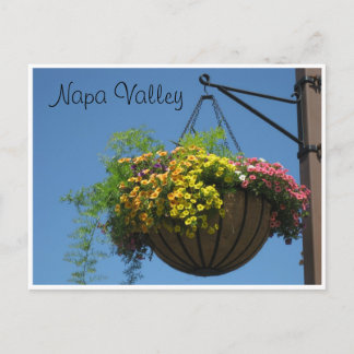 Napa Valley, Ca. Vykort