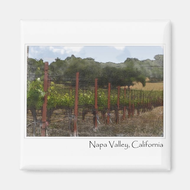 Napa Valley California Grape Vineyard Magnet (Framsidan)