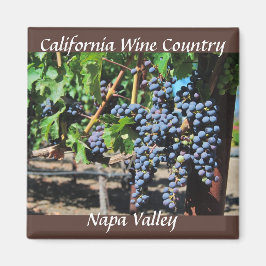 Napa Valley California Vin Land Magnet