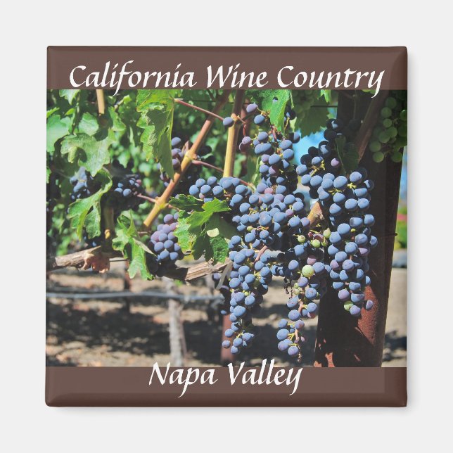 Napa Valley California Vin Land Magnet (Framsidan)