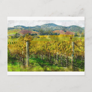Napa Valley California Vineyard Vykort