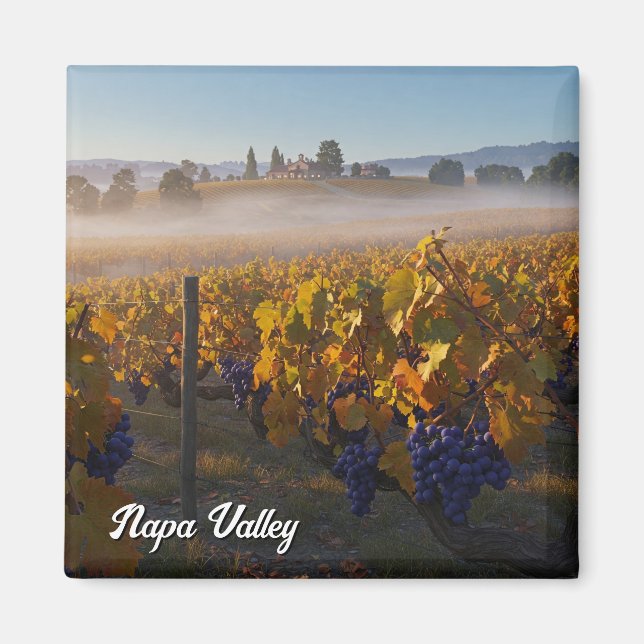 Napa Valley California Vinyard Winery Magnet (Framsidan)