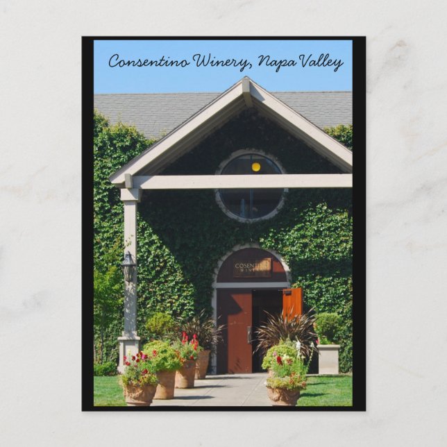 Napa Valley California Winery Vykort (Framsida)