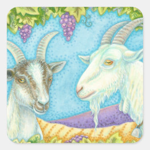 Napa Valley Goats under Grape Arbor STICKERS Lakan Fyrkantigt Klistermärke