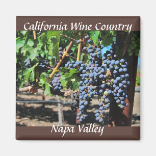 Napa Valley Kalifornien Vin Land Magnet