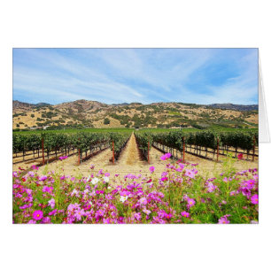 Napa Valley Kalifornien vingård Hälsningskort