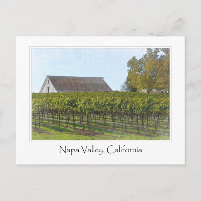 Napa Valley Kalifornien vingård och lada Vykort (Framsida)