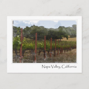 Napa Valley Kalifornien vingård postkort Vykort