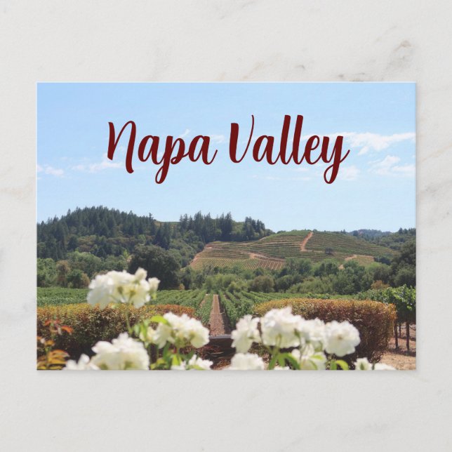 Napa Valley, Kaliforniens vinodlingar och blommor Vykort (Framsida)