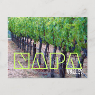 Napa Valley Postcard (vin) Vykort