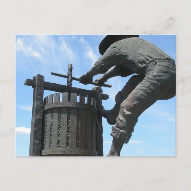 Napa Valley Postcard Vykort (Framsida)