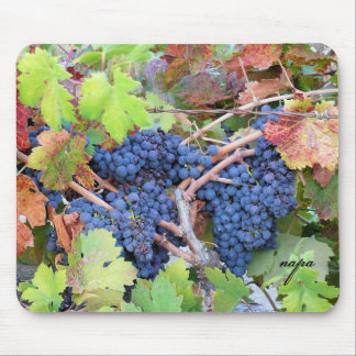 Napa Valley Skördemusmatta Musmatta