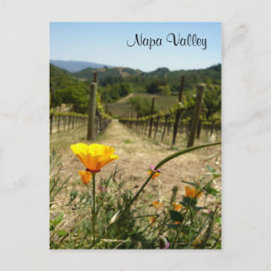 Napa Valley Vår Vykort