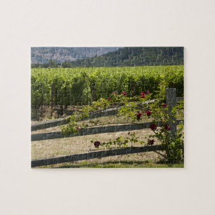 Napa Valley Vineyard och Ro Pussel