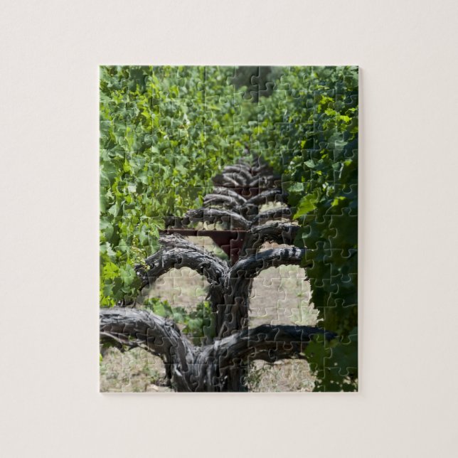 Napa Valley Vineyard Row Pussel (Vertikal)