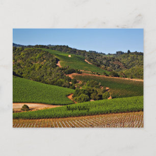 Napa Valley vineyard Vykort