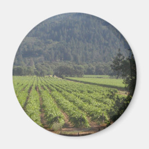 Napa Valley vingårdar mig Magnet