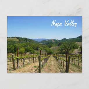 Napa Valley Vykort