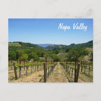 Napa Valley Vykort
