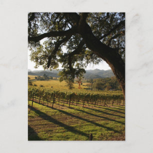 NAPA VALLEY VYKORT