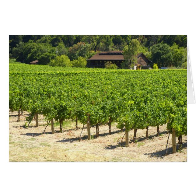 Napa Valley Winery Vineyard OBS Kort (Framsidan Horizontal)