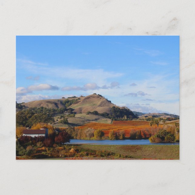 Napadalen Vin Land i Fall Vykort (Framsida)