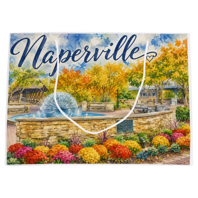 Naperville Illinois Maskros Springbrunn Riverwalk (Framsidan)