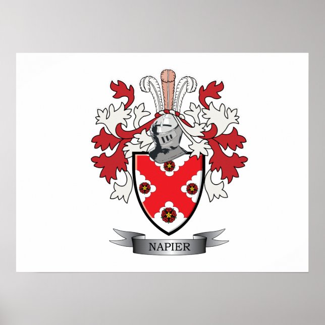 Napier Family Crest Jackar om Arm Poster (Framsidan)