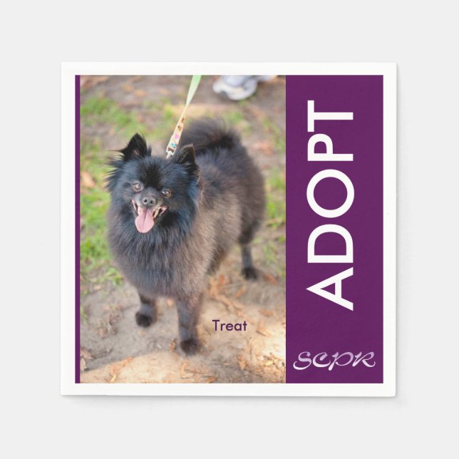 Napkin - Behandlingen Pappersservett (Framsidan)