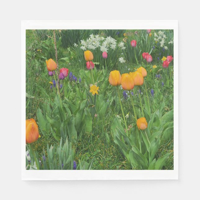 Napkins Pappersservett (Framsidan)