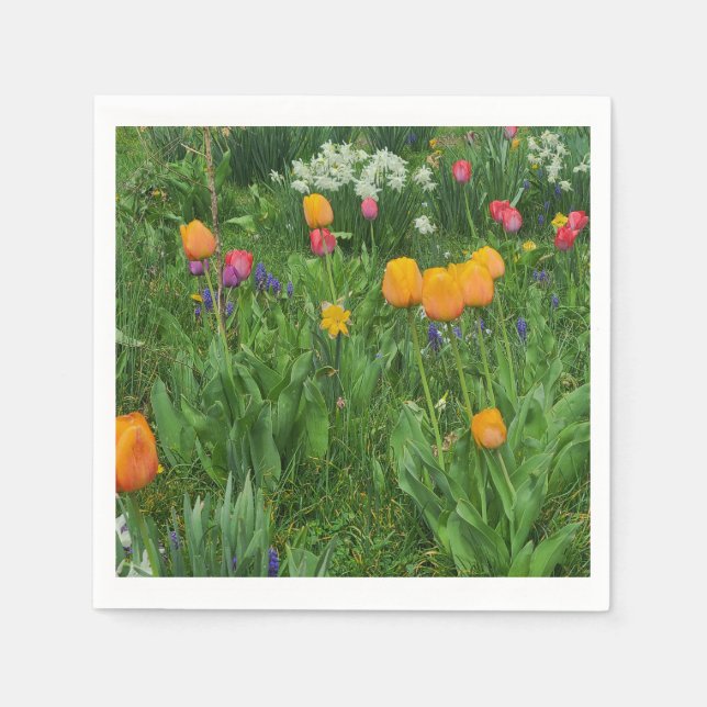 Napkins Pappersservett (Framsidan)