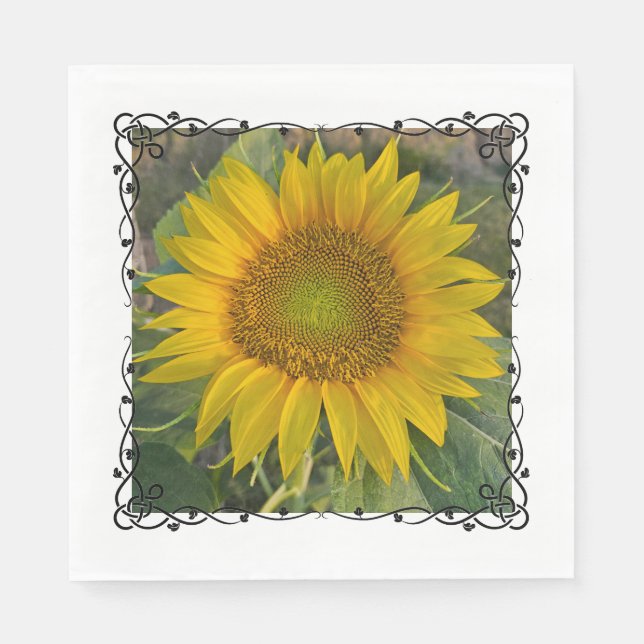 Napkins Pappersservett (Framsidan)