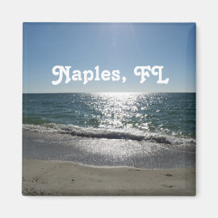 Naples Florida Magnet