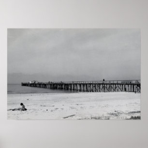 Naples Florida pir Poster