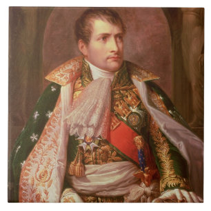 Napoleon Bonaparte (1769-1821), som kung av Kakelplatta
